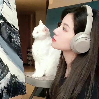 世界街头女斗士3